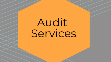 Audit Services