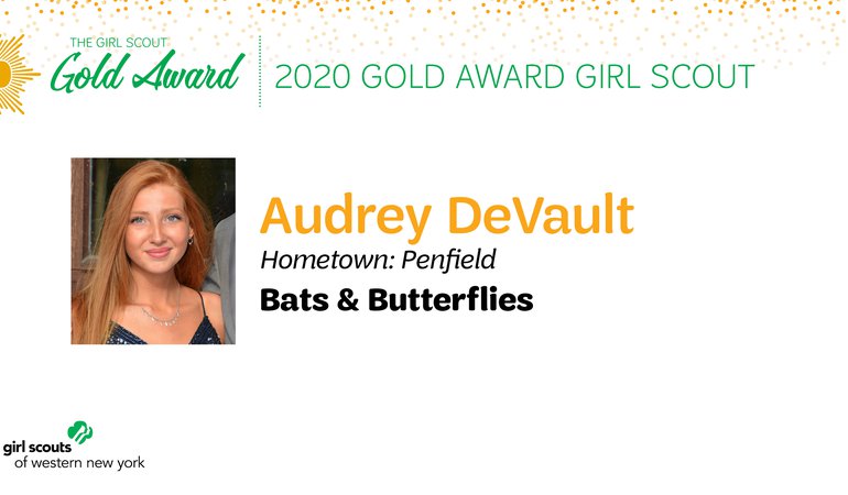 gold award title bar