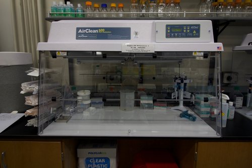 PCR Clean Workstation &#x27;Biggie&#x27;