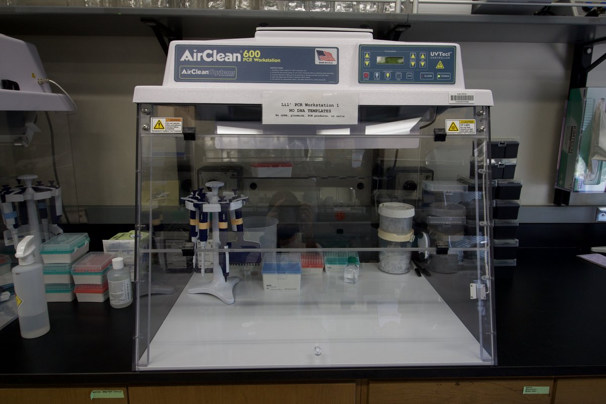 PCR Clean Workstation 'Lil
