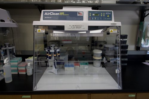 PCR Clean Workstation &#x27;Lil