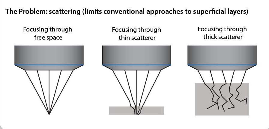 Wavefront shaping: A versatile tool to conquer multiple scattering