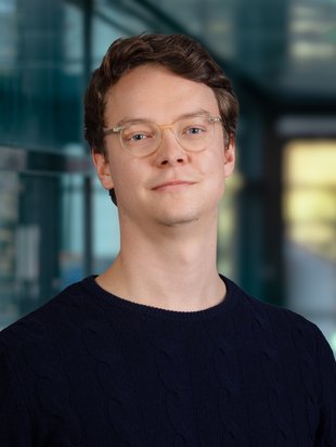 Nikolas Wittek