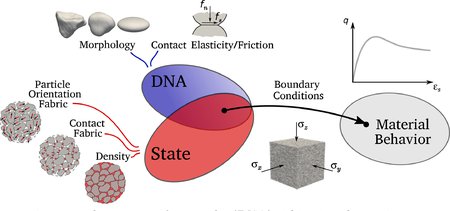 We use the concept of DNA to obtain granular behavior using computer models called LSDEM