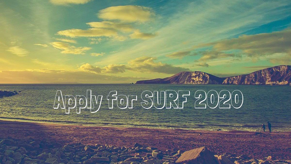 surf ad