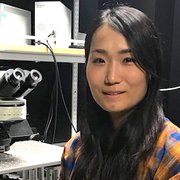 Tomomi Karigo