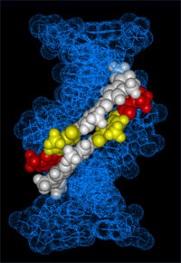 molecule structure