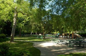 photo of Caltech's Tournament Park