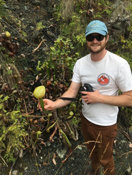 Jonathan Treffkorn Darlingtonia