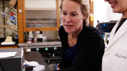 Frances Arnold