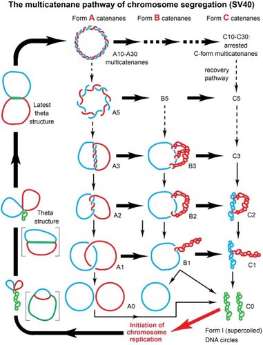 Alex Xu on X: Popular interview question: what's the difference between  Inner, Left, Right, and Full join? The diagram below illustrates how  different types of joins work. (INNER) JOIN: returns only matching