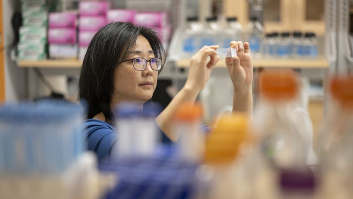 Eunjung Hwang in the lab