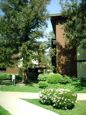 Picture of the Catalina apartments