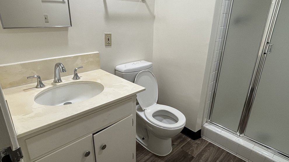 Hallway Bathroom