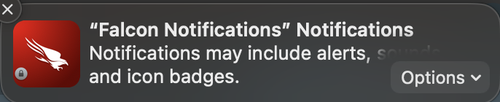 CrowdStrike Falcon Notifications