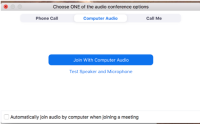 zoom meeting audio options