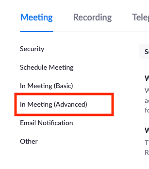 zoom In meeting (advanced) settings