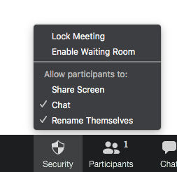 zoom lock meeting options