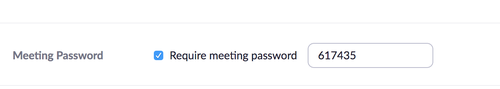 zoom meeting password prompt
