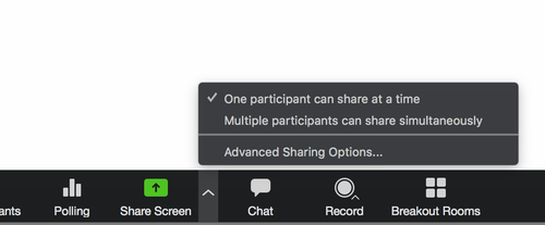 zoom screen sharing options