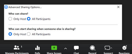 zoom screen sharing options