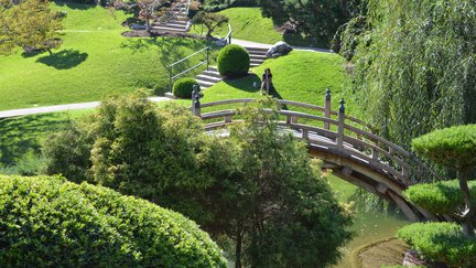 pond with japanese styled bridge