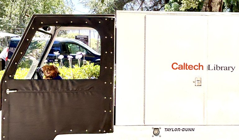 A small dog sitting on the driver seat of a Caltech cart.