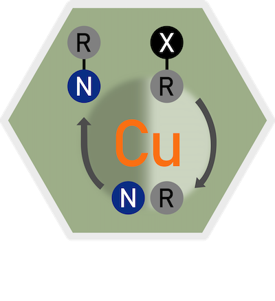 Photoinduced Copper-Catalyzed C–N Coupling