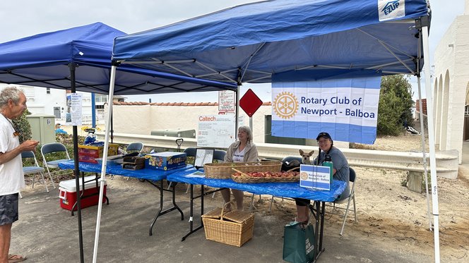 rotary
