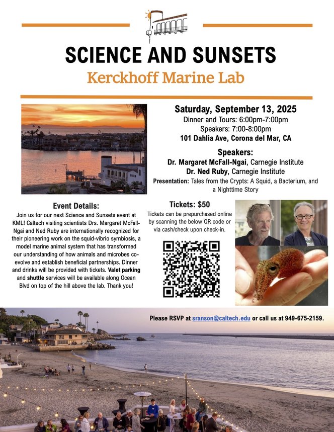 Science and Sunsets