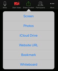 Share content menu Zoom iPad