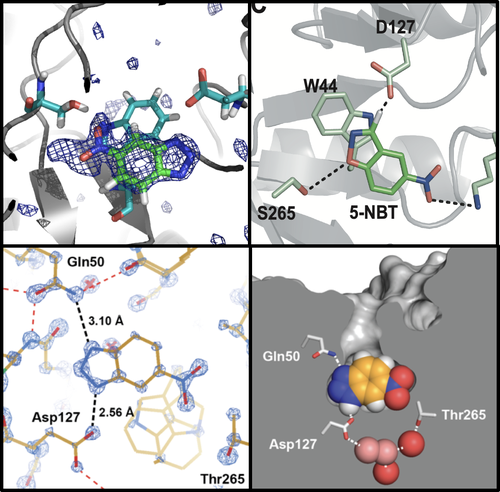 enzyme design