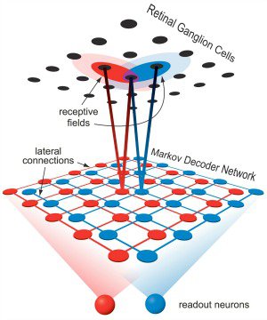 Acuity Model