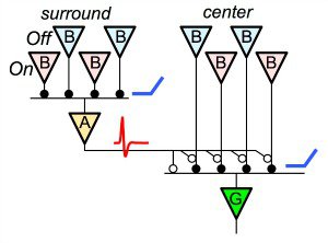 W3 Circuit