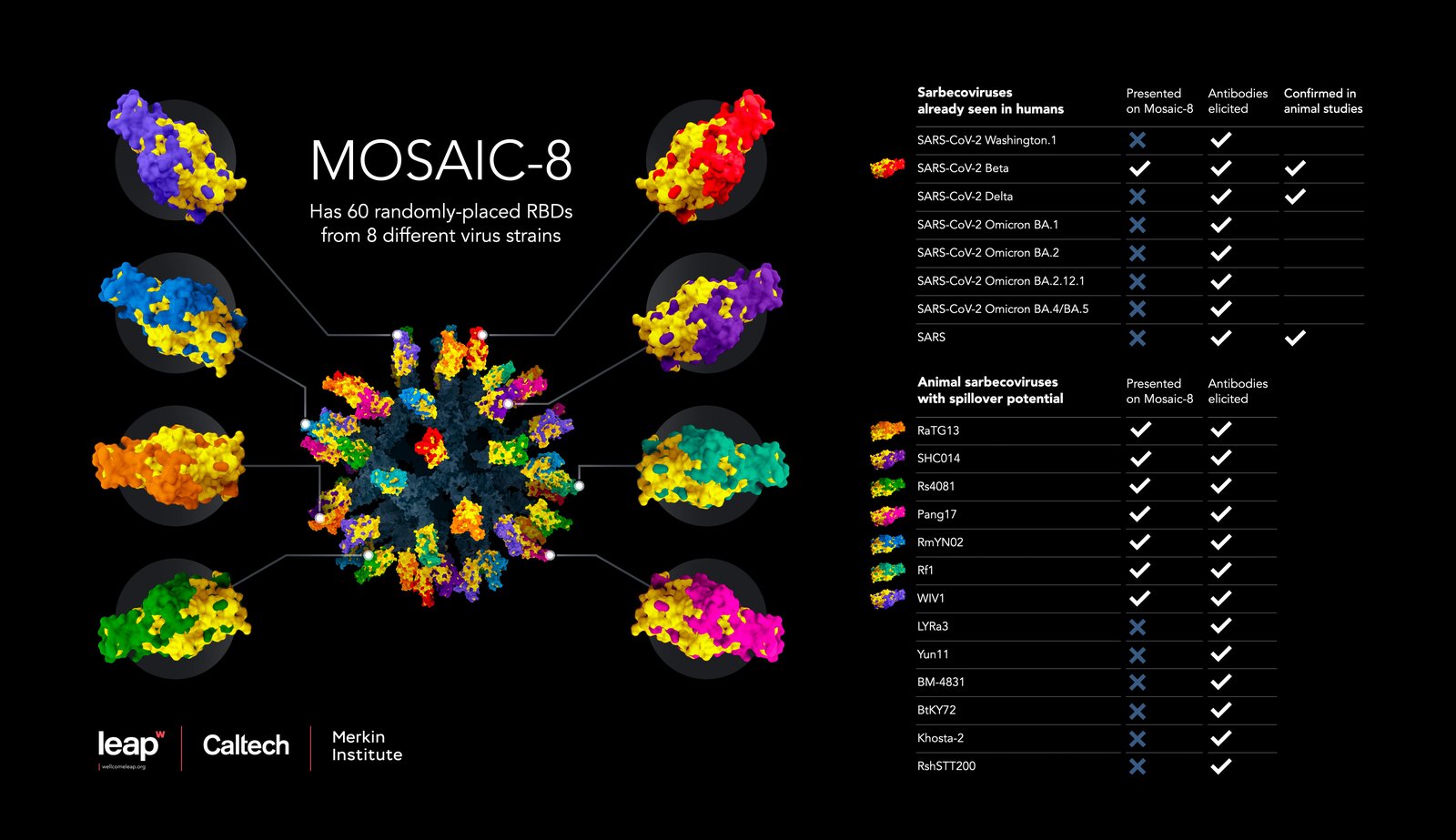 MOSAIC_Infographic_Horizontal NEW