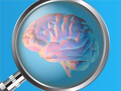 Illustration of a magnifying glass over a brain.