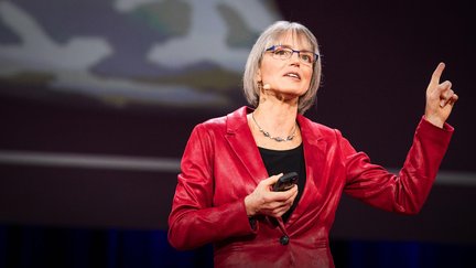 Nancy Kanwisher giving a talk