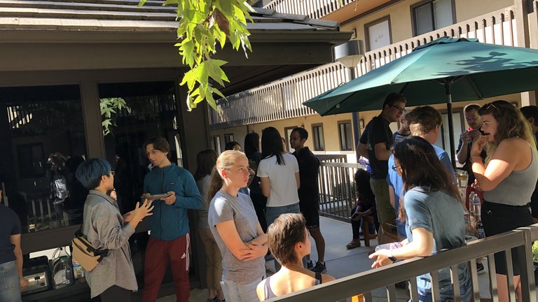 Catalina brunch crawl