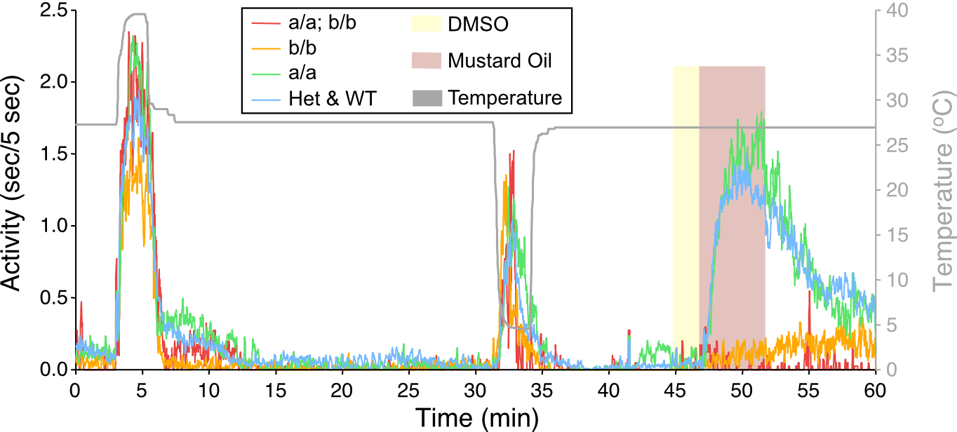 Prober TRPA1.png