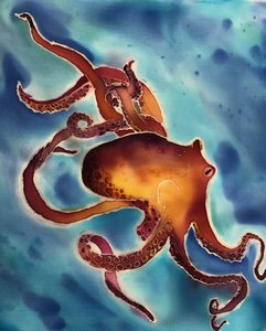 Octopus