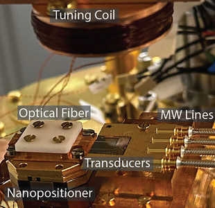 Scanning electron microscope image of a silicon electro-optomechanical transducer
