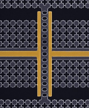 A scanning electron microscope image highlighting a single mechanical oscillator, "tuning fork," from the new work. The false-colored golden lines in the image indicate the location of electrodes that transfer electrical signals between the superconducting qubit and the mechanical oscillator.