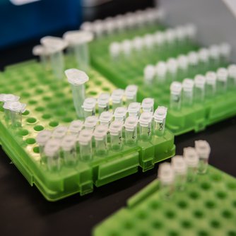 lab assay