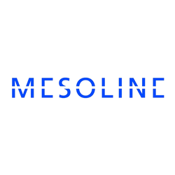 mesoline_picture_entrepreneurship