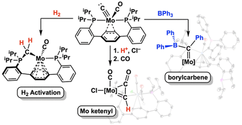 image of chemical reaction pathways