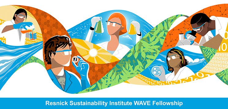 WAVE Fellowships