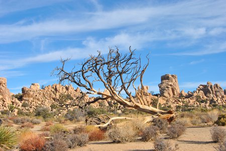A dry desert landscape