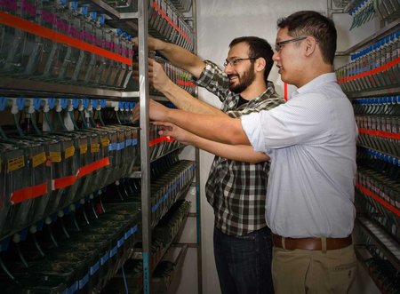 Prober laboratory postdocs working in the zebrafish facility.