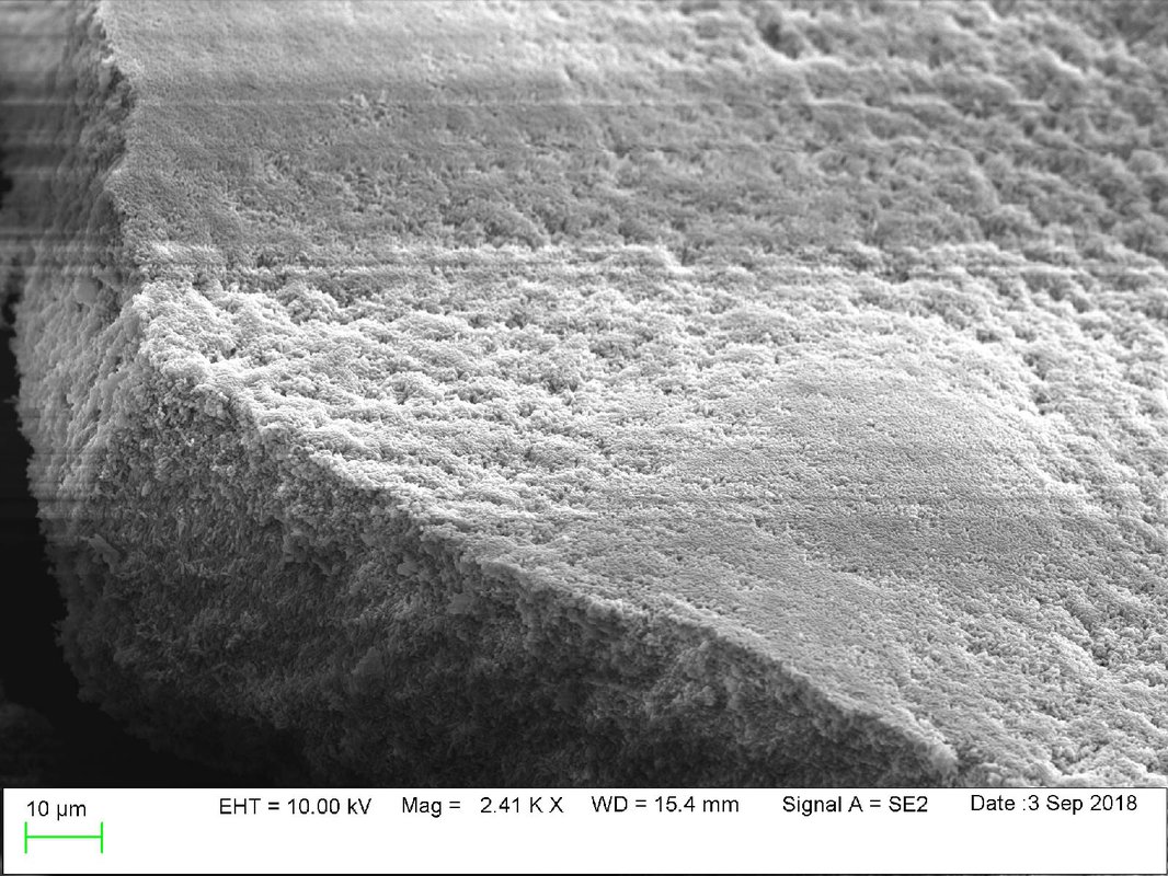 A black and white image of a thick slab made up of many individual bacterial cells