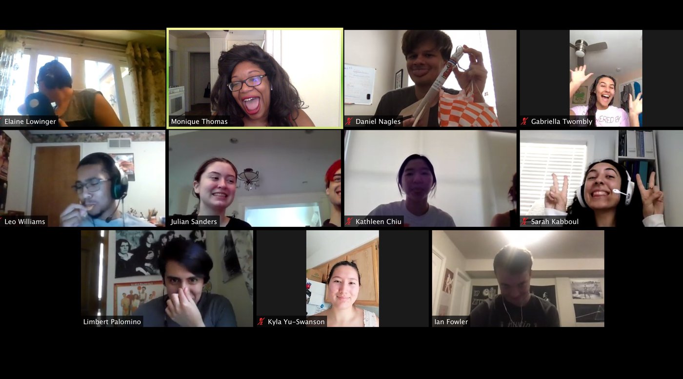 Screenshot of FSRI students on Zoom